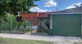 COSTA RICA AL 800 ENTRE EL TALA Y EL TREBOL SAN JOSE TEMPERLEY