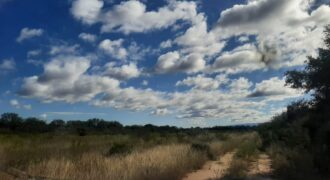 CAMPO VILLA DOLORES –  SAN PEDRO – DEPARTAMENTO SAN ALBERTO -CORDOBA