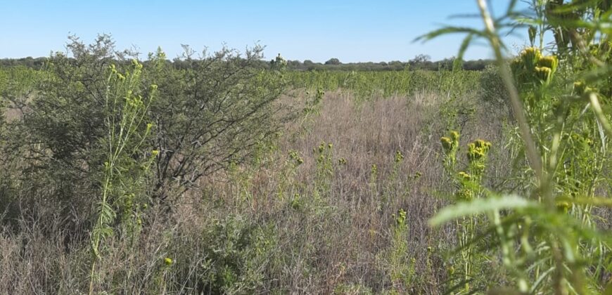 CAMPO AGRICOLA EN VILLA DOLORES- SAN PEDRO- DEPARTAMENTO SAN ALBERTO- CORDOBA