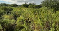 CAMPO AGRICOLA EN VILLA DOLORES- SAN PEDRO- DEPARTAMENTO SAN ALBERTO- CORDOBA