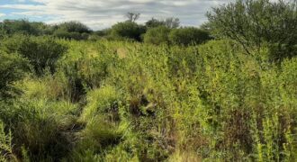 CAMPO AGRICOLA EN VILLA DOLORES- SAN PEDRO- DEPARTAMENTO SAN ALBERTO- CORDOBA