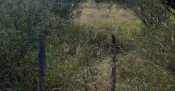 CAMPO AGRICOLA EN VILLA DOLORES- SAN PEDRO- DEPARTAMENTO SAN ALBERTO- CORDOBA