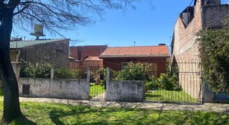 LOS PLATANOS AL 600 ENTRE MADRESELVA Y EL TALA TEMPERLEY