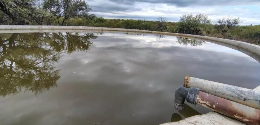 CAMPO EN CORDOBA DEPARTAMENTO DE CRUZ DEL EJE