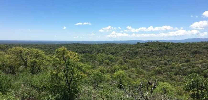 CAMPO EN CORDOBA DEPARTAMENTO DE CRUZ DEL EJE