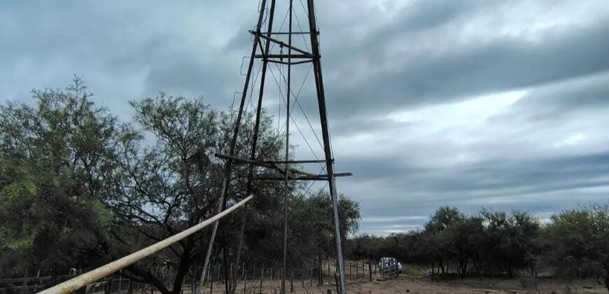 CAMPO EN CORDOBA DEPARTAMENTO DE CRUZ DEL EJE