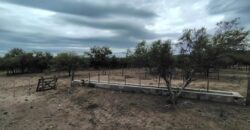 CAMPO EN CORDOBA DEPARTAMENTO DE CRUZ DEL EJE