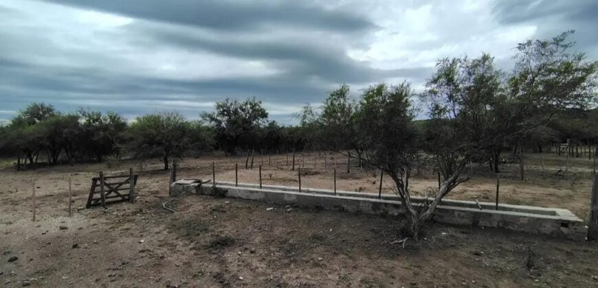 CAMPO EN CORDOBA DEPARTAMENTO DE CRUZ DEL EJE
