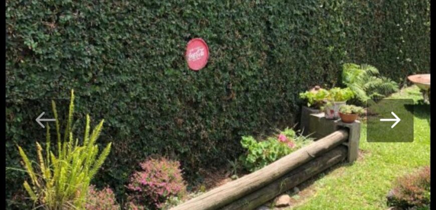 JUJUY AL 1.700 ENTRE BYNNON Y NOTHER SAN JOSE ADROGUE