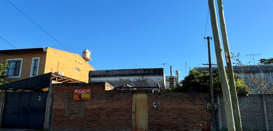 RIGLOS AL 100 ENTRE TARIJA Y RUBEN DE ROSAS