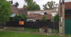 SIGMUND FREUD 282 ENTRE LAS CASUARINAS Y ANCHORIS