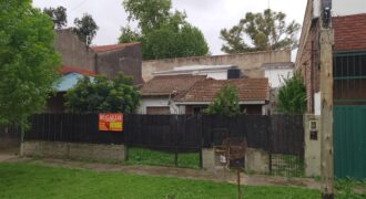 SIGMUND FREUD 282 ENTRE LAS CASUARINAS Y ANCHORIS